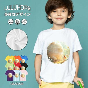 tNX}X LbY j̎q ̎q ǂ jZbNX @L@q NX}X ʁ@ ˂D@^ ct ւ  ĕ 110|150@vg Y fB[X Rb