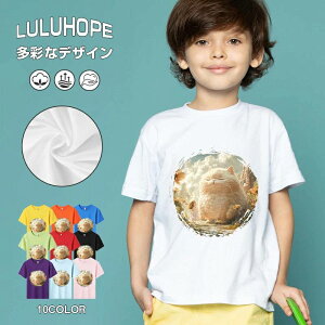 tNX}X LbY j̎q ̎q ǂ jZbNX @L@q NX}X ʁ@ ˂D@^ ct ւ  ĕ 110|150@vg Y fB[X Rb