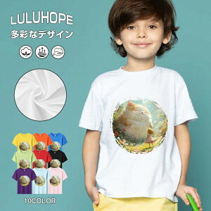 tNX}X LbY j̎q ̎q ǂ jZbNX @L@q NX}X ʁ@ ˂D@^ ct ւ  ĕ 110|150@vg Y fB[X Rb