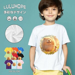 tNX}X LbY j̎q ̎q ǂ jZbNX @L@q NX}X ʁ@ ˂D@^ ct ւ  ĕ 110|150@vg Y fB[X Rb