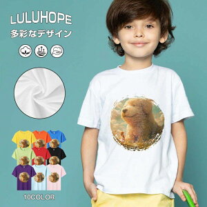 tNX}X LbY j̎q ̎q ǂ jZbNX @L@q NX}X ʁ@ ˂D@^ ct ւ  ĕ 110|150@vg Y fB[X Rb