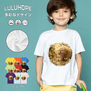 tNX}X LbY j̎q ̎q ǂ jZbNX @L@q NX}X ʁ@ ˂D@^ ct ւ  ĕ 110|150@vg Y fB[X Rb