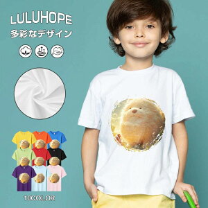 tNX}X LbY j̎q ̎q ǂ jZbNX @L@q NX}X ʁ@ ˂D@^ ct ւ  ĕ 110|150@vg Y fB[X Rb