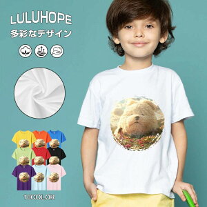 tNX}X LbY j̎q ̎q ǂ jZbNX @L@q NX}X ʁ@ ˂D@^ ct ւ  ĕ 110|150@vg Y fB[X Rb