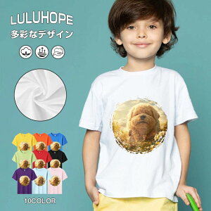 tNX}X LbY j̎q ̎q ǂ jZbNX @L@q NX}X ʁ@ ˂D@^ ct ւ  ĕ 110|150@vg Y fB[X Rb