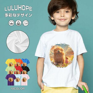 tNX}X LbY j̎q ̎q ǂ jZbNX @L@q NX}X ʁ@ ˂D@^ ct ւ  ĕ 110|150@vg Y fB[X Rb