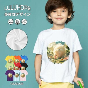 tNX}X LbY j̎q ̎q ǂ jZbNX @L@q NX}X ʁ@ ˂D@^ ct ւ  ĕ 110|150@vg Y fB[X Rb