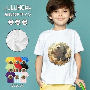 tNX}X LbY j̎q ̎q ǂ jZbNX @L@q NX}X ʁ@ ˂D@^ ct ւ  ĕ 110|150@vg Y fB[X Rb