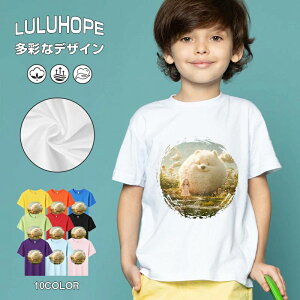 tNX}X LbY j̎q ̎q ǂ jZbNX @L@q NX}X ʁ@ ˂D@^ ct ւ  ĕ 110|150@vg Y fB[X Rb