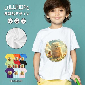 tNX}X LbY j̎q ̎q ǂ jZbNX @L@q NX}X ʁ@ ˂D@^ ct ւ  ĕ 110|150@vg Y fB[X Rb