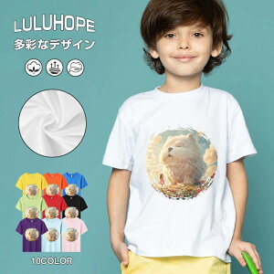 tNX}X LbY j̎q ̎q ǂ jZbNX @L@q NX}X ʁ@ ˂D@^ ct ւ  ĕ 110|150@vg Y fB[X Rb