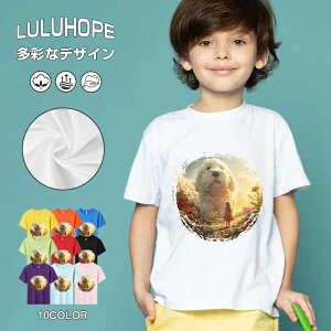 tNX}X LbY j̎q ̎q ǂ jZbNX @L@q NX}X ʁ@ ˂D@^ ct ւ  ĕ 110|150@vg Y fB[X Rb