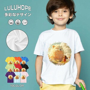 tNX}X LbY j̎q ̎q ǂ jZbNX @L@q NX}X ʁ@ ˂D@^ ct ւ  ĕ 110|150@vg Y fB[X Rb