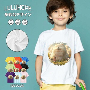 tNX}X LbY j̎q ̎q ǂ jZbNX @L@q NX}X ʁ@ ˂D@^ ct ւ  ĕ 110|150@vg Y fB[X Rb