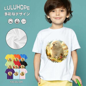 tNX}X LbY j̎q ̎q ǂ jZbNX @L@q NX}X ʁ@ ˂D@^ ct ւ  ĕ 110|150@vg Y fB[X Rb