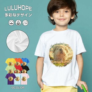 tNX}X LbY j̎q ̎q ǂ jZbNX @L@q NX}X ʁ@ ˂D@^ ct ւ  ĕ 110|150@vg Y fB[X Rb