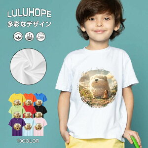 tNX}X LbY j̎q ̎q ǂ jZbNX @L@q NX}X ʁ@ ˂D@^ ct ւ  ĕ 110|150@vg Y fB[X Rb