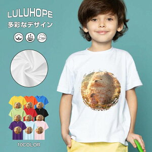 tNX}X LbY j̎q ̎q ǂ jZbNX @L@q NX}X ʁ@ ˂D@^ ct ւ  ĕ 110|150@vg Y fB[X Rb