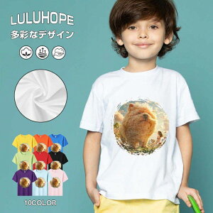 tNX}X LbY j̎q ̎q ǂ jZbNX @L@q NX}X ʁ@ ˂D@^ ct ւ  ĕ 110|150@vg Y fB[X Rb