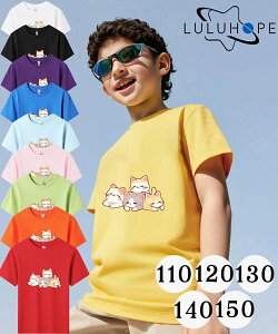 tVc TVcLbY j̎q ̎q ǂ jZbNX q ˂@LD@ۈ牀 ^ ct ւ ĕ 傫TCYTVc Y fB[X  Rbg Jbg\[ 