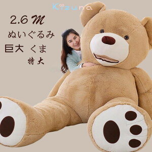 ʂ  260cm N} F  傫 킢 ʂ F̂ʂ rbO Q q CeA ӂӂ q ގ ޏ Ƒ NX}X oYj j  oYj