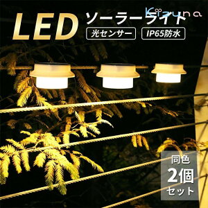 F2Zbg \[[Cg O h K[fCg  킢 FREESIA 邢 Px \[[ LED ZT[ _ ÃZT[  Ɩ O  뉀 Ǌ| dC