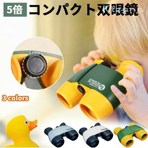 oዾ ړ 5{ qp RT[g h[ IyOX RpNg X|[c o[hEHb`O Cup  쒹 y Xgbv ړ { S 킢 oR St