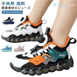 _C LbY jO  V[Y ^C qp Xj[J[ w q bV qǂC LbYXj[J[ y X|[c j̎q bV ̎q WjA ʉ ʊw C 