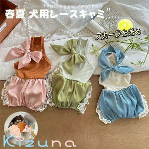 t  [X t L~\[ p[X SNSf  XJ[t 2_Zbg Be ʐ^ ybg ^ ^ q m hbOEFA LbgEFA  L  EȒP INS 