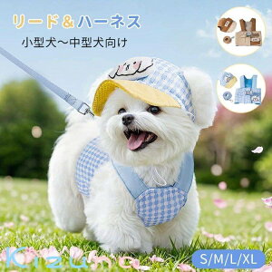 t n[lX[h  ^ ^ L~\[ Xq 3_Zbg  hbOEFA LbgEFA  ʋC L ybg I[o[I[ EȒP h~  D