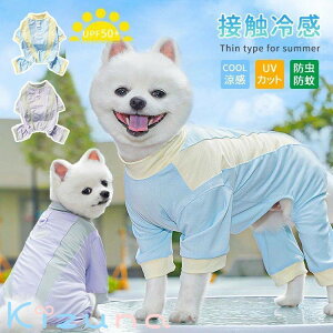 N[EFA  t  L  ڐG⊴  UVJbg ^ ^ h   Ȃ hbOEGA Lbg bV ΍ Ђ  EȒP ybg  