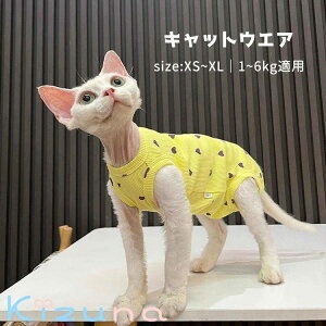 f{bNX XtBNXL LbgEFA  n[g L _炩   Ȃ TVc t  RjXт̔L  EȒP  AEghA ybg R[jbV