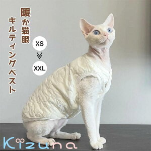 LbgEFA xXg LeBO XtBNXL  L zCg _炩 Ȃ H~ RjXт̔L EȒP AEghA ybg   R[jbVbNX f{