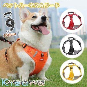  n[lX [ht IV xXg ^ ^ ^ L EȒP h~ ˍ lC  U o  n[lX xXgn[lX 150cm[h[v _炩 XS