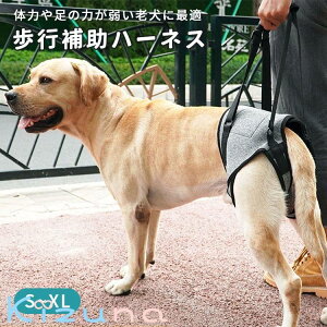 pn[lX  둫 s⏕ ybgp n[lX V 㑫p 萫  ֐ U ^ ^ ^  nr _炩 ʋC p sT|[g [h IXEXp