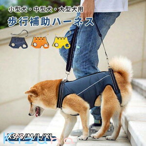 pn[lX  SgT|[g s⏕ ybgp ^ ^ ^  n[lX V Oƌ㑫⏕ nr _炩 ʋC p sT|[g p 񕜒 aC U [h 