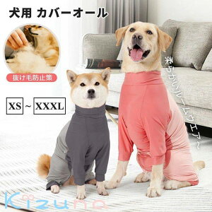 p [EGA p㕞 іh~ 앞 rߖh~ t  H ~ D  ی ybgp Ȃ    ^ ^ ^ Xgb` _炩 AEghA 悯 L 