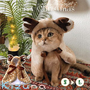  NX}X giJC RXv ybg }g  ^ L  ʐ^Be lC ins EȒP  ߑ Xqt NX}X RX`[ g  IV |` hbO