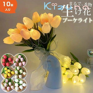 u[PCg t[Cg `[bv  10{Zbg LED USB[d dr  CeA ԑ AWg EFfBO  pXe LO  j ʉ ͂