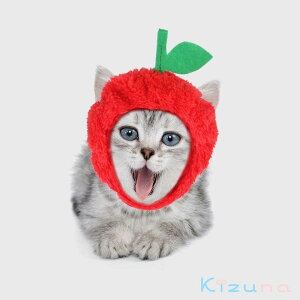  ybgXq nEB Halloween Apple Abv  ь S 䙉   Lnbg ybgpRXv EȒP ^ L  L[g hbOEFA ʔ Be