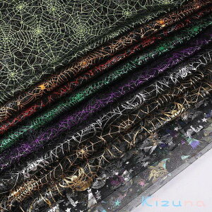  nEB spider web N XpC_[ vg 150cm n z I[KW[ bV _炩  Xe[W J[e ʐ^Be XJ[g hX DIY zn ʂ  m DIY  