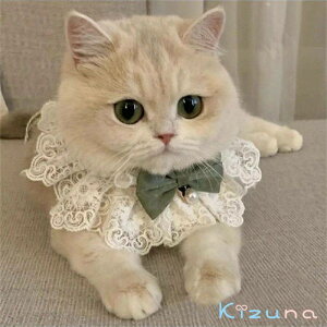  Lp悾ꂩ 킢 pX^C  Lp ^ t^I ru  y Hp ȒP 悾Jo[ U o LpXJ[t ybgo_i _炩 