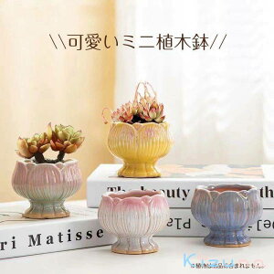  ~jAؔ  AeB[N 픫  ̂ v^[ A ͗l A  ~^ t` K[fjO  Rxg Aւ A | ϗtA 