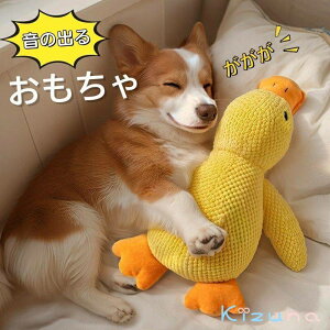  ̂ Aq ʂ ނ ߋ ̏o ybgp QĂpi XgXU YY   ^s΍ ybĝ ^ɓKp S M