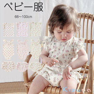 yzxr[ p[X Ԃ xr[pW}  TVc V[gpc u}pc  ڂpc LbY q V c Rbg j̎q ̎q 