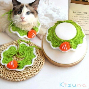  ybg̕   carrot jW }t[ L lR  L  ʋC _炩 ʔ ʐ^ Be  ȒP ւ ybgpi