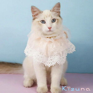  ybg̕ GUxXJ[  { }t[ p[ [X L lR  RX`[ L  ʋC _炩 RXvߑ ʔ ʐ^ Be  ȒP 