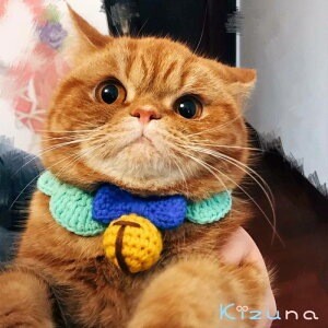  ybg̕   { x }t[ L lR  RX`[ L  ʋC _炩 RXvߑ ʔ ʐ^ Be  ȒP ւ ϐgObY 