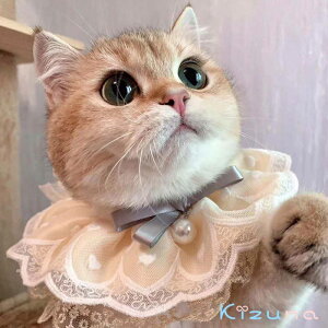  ybg̕  { }t[ p[ L lR  RX`[ L  ʋC _炩 RXvߑ ʔ M ʐ^ Be  ȒP ւ ϐgObY yb