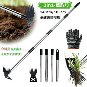 G 148cm/183cm 蓹    [L  背[L/L  X`[ Yf| ܂  ̎Gނ     芙 S y 